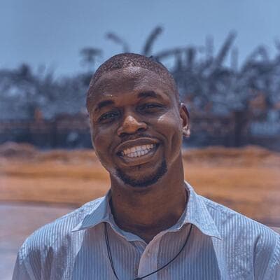 Michael Ogundipe
